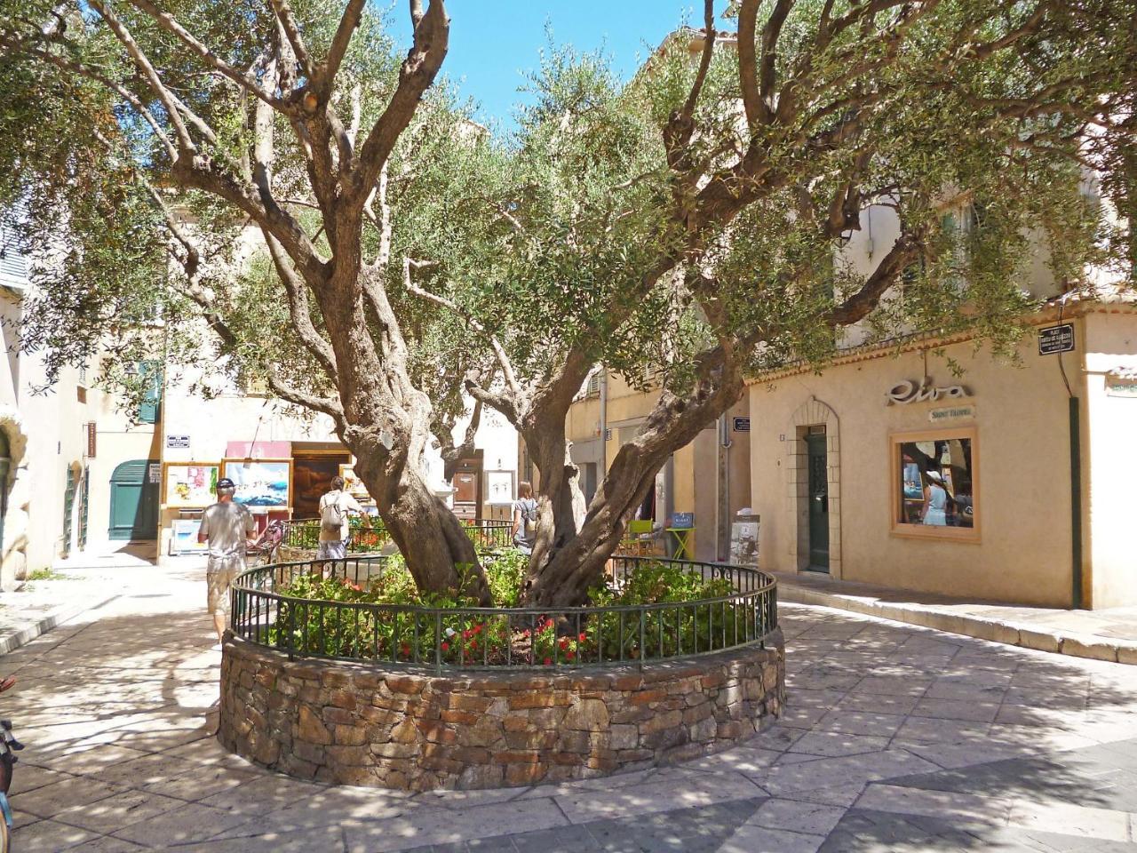 Apartment Eden Parc-4 By Interhome Saint-Tropez Esterno foto
